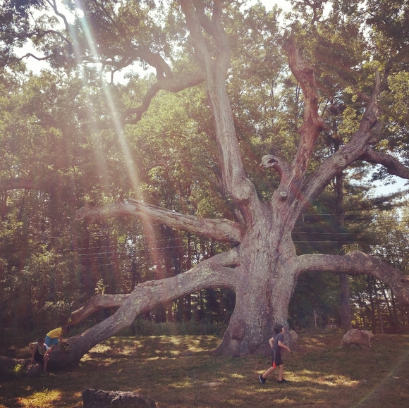 Meet your Posher, Sabrina Bartkowiak 🐢 - Picture 8 of 8